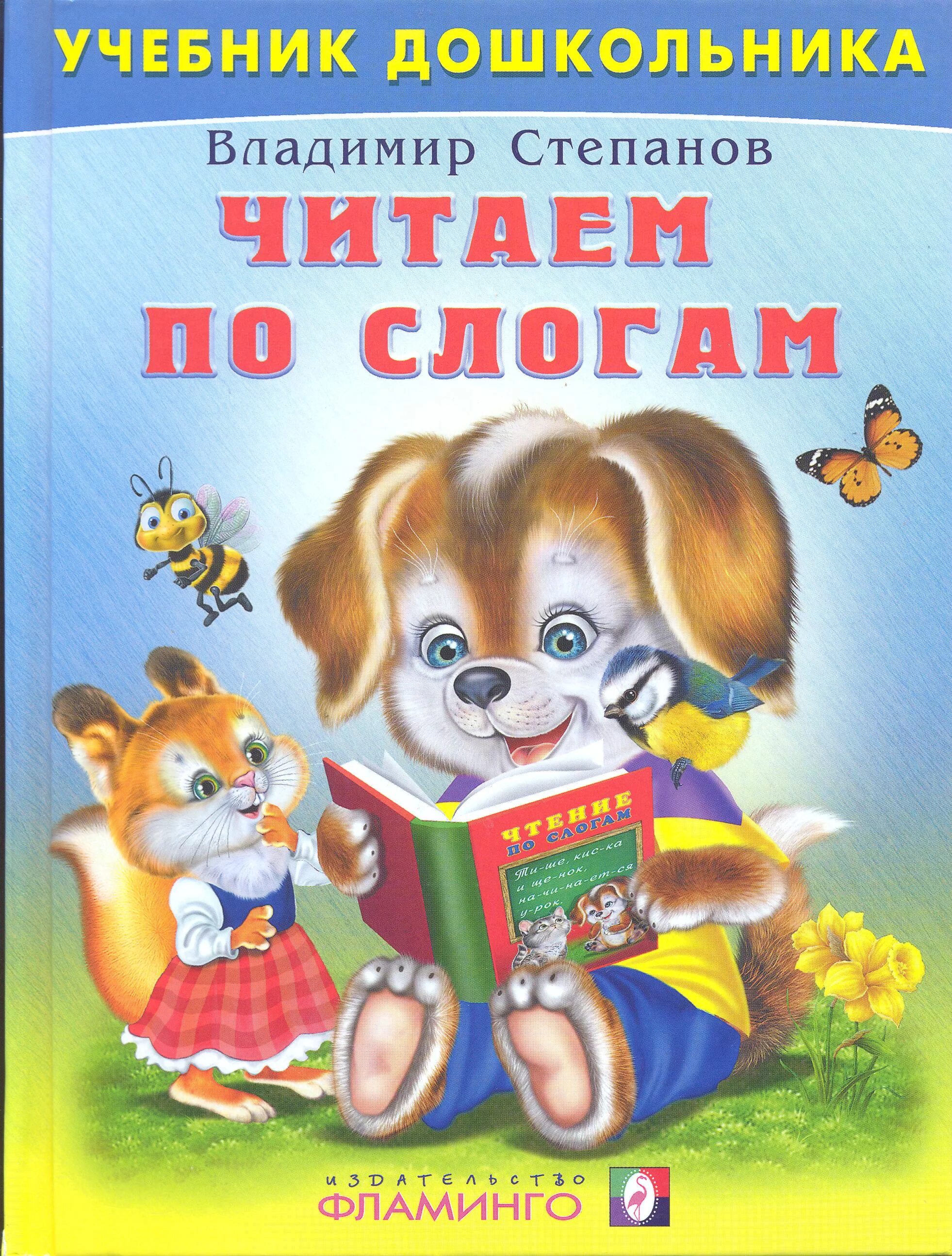 Читать книгу по слогам. Учебник для дошкольников читаем по слогам. читаем по слогам книга. книги по слогам для детей. книги для чтения по слогам для детей.