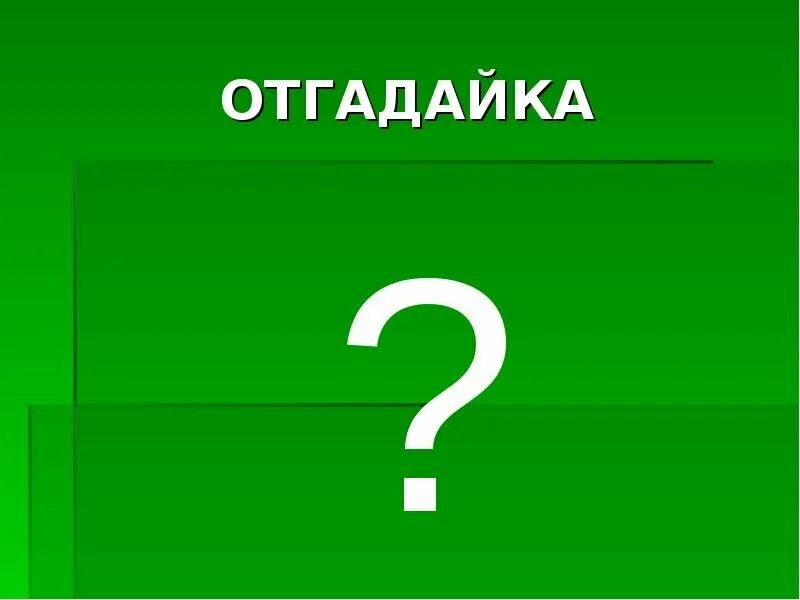 Угадай какое будет слово. Отгадайка. Отгадайка для детей. Отгадай картинка. Отгадай загадку.