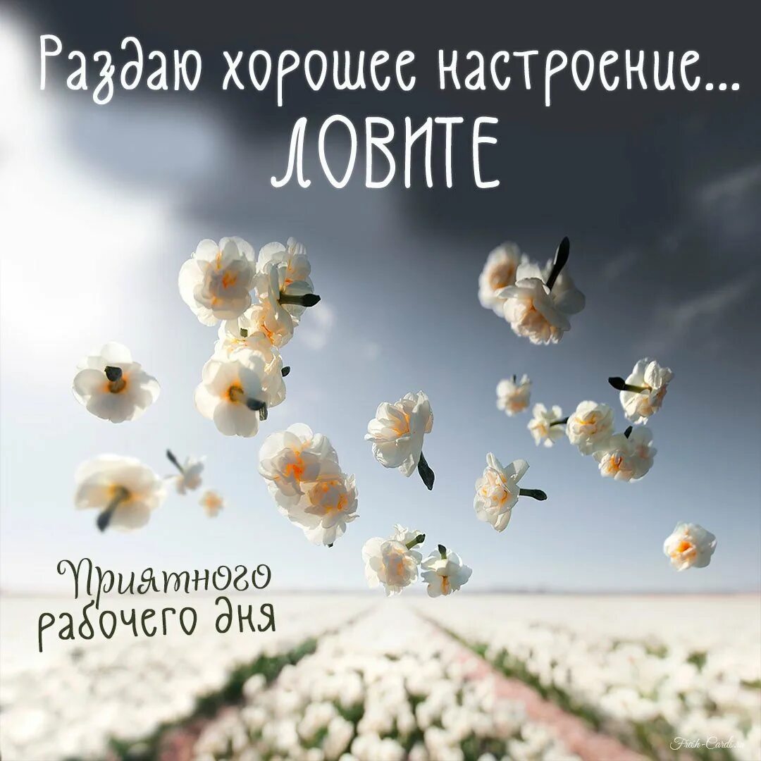 философия хорошей жизни. доброе утро природа. философские размышления о жизни.