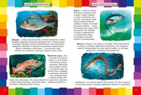 Звери морей и океанов 1 класс