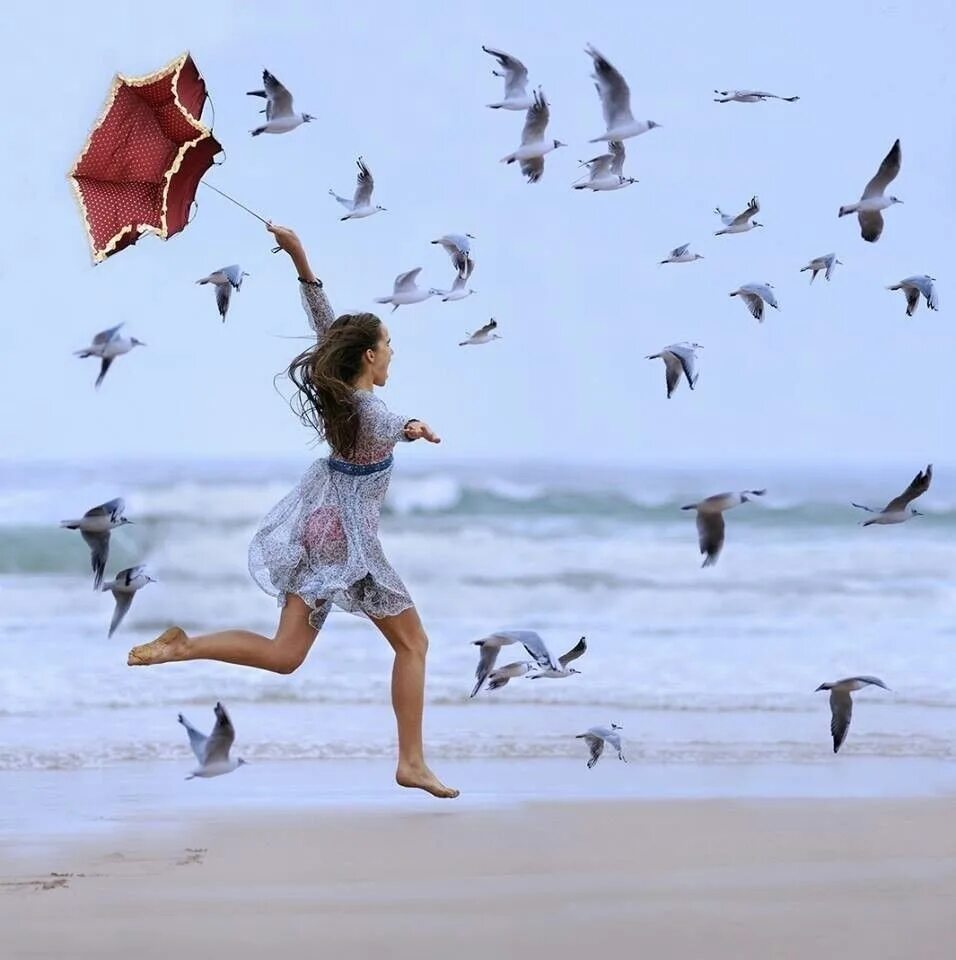 Песня лети навстречу мечте и против. Море птицы девушка. Девушка бежит к морю. Счастливая девушка бежит. Жизнь прекрасна море.
