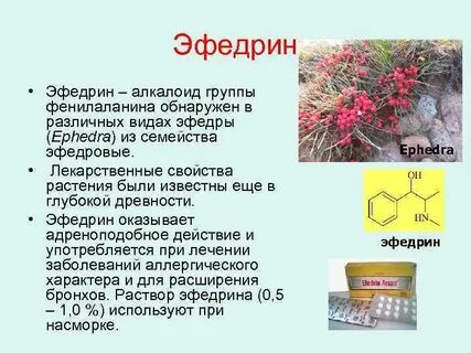 Эфедрин относится тест аккредитация
