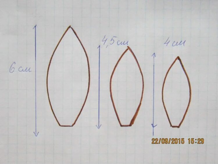 Форма листьев лилии. Лепестки лилии из изолона. Выкройки лепестков лилии из изолона. Трафарет лепестков лилии из изолона. Выкройка лепестков тюльпана из изолона.