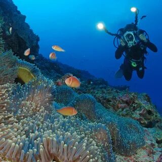 Where the fish