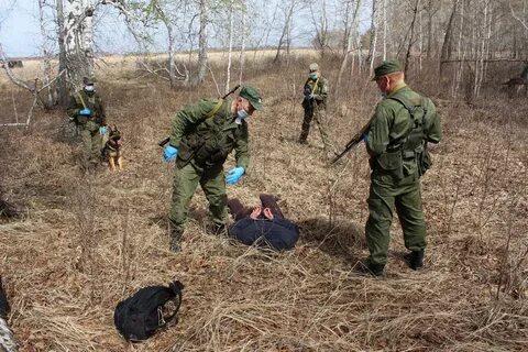 Задержана на границе
