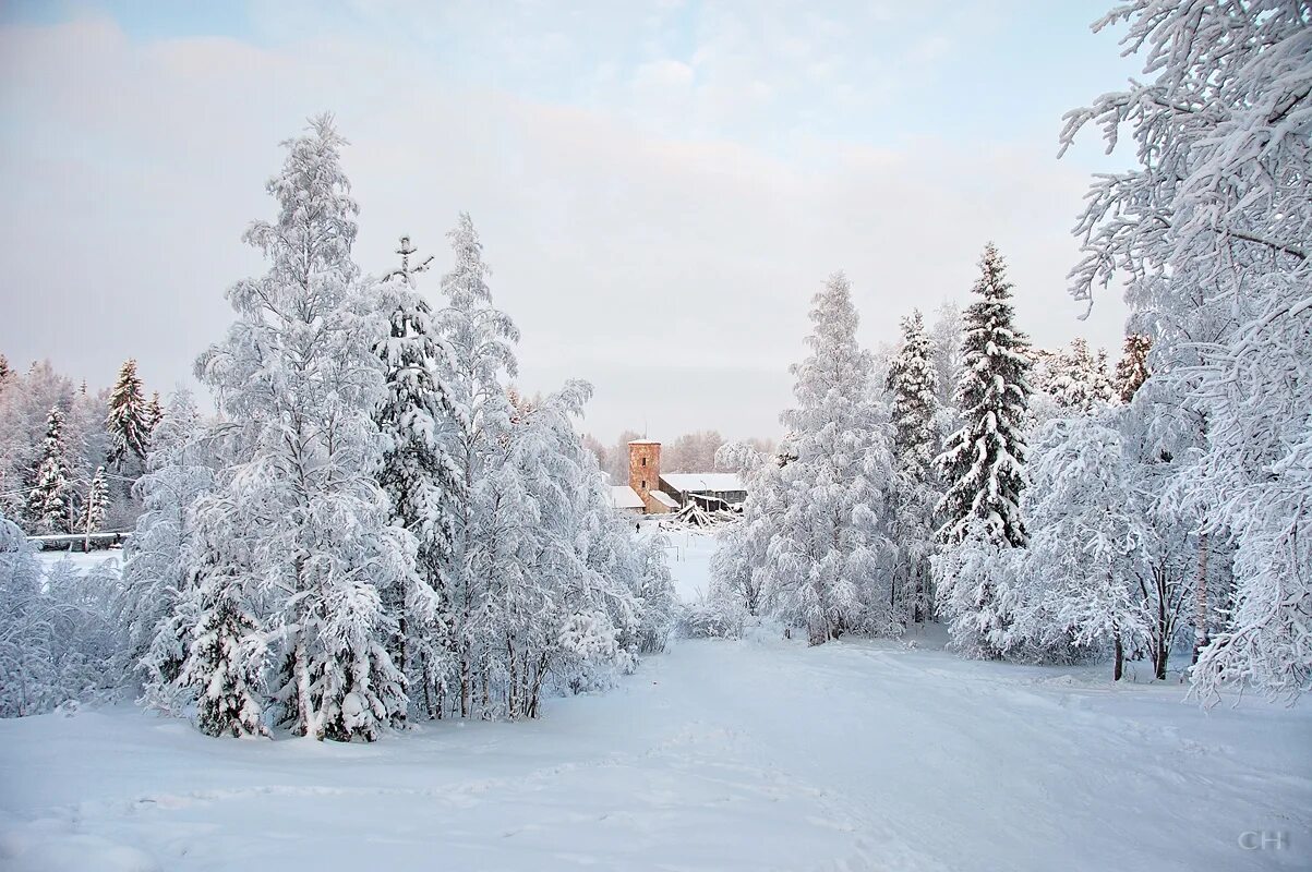 погода в алексеевке на неделю точный