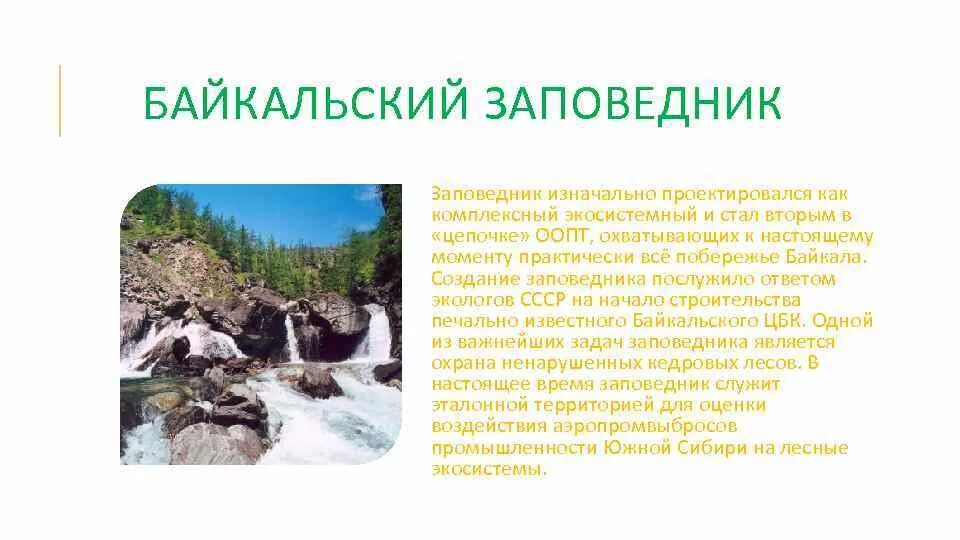 Заповедники россии доклад 8 класс. Сообщение о заповеднике России Байкальский заповедник. Байкальский заповедник России доклад. Байкальский заповедник рассказ. Байкальский заповедник доклад.