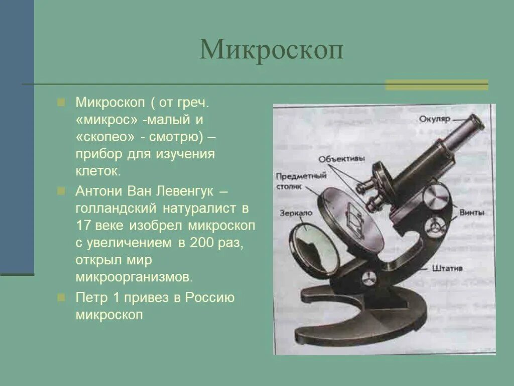Сообщение о микроскопе