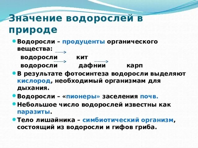 Сообщение о значении водорослей