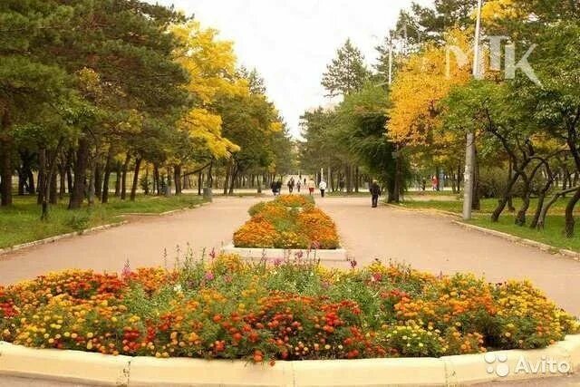 Китай уссурийский остров хабаровск. Уссурийский бульвар 2 хабаровск. Мост на большой уссурийский остров хабаровск. Большой уссурийский остров хабаровск на карте. Уссурийский бульвар 2.
