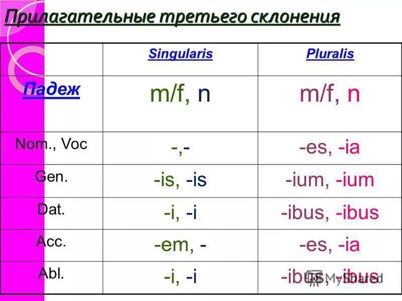 Корень мужской род