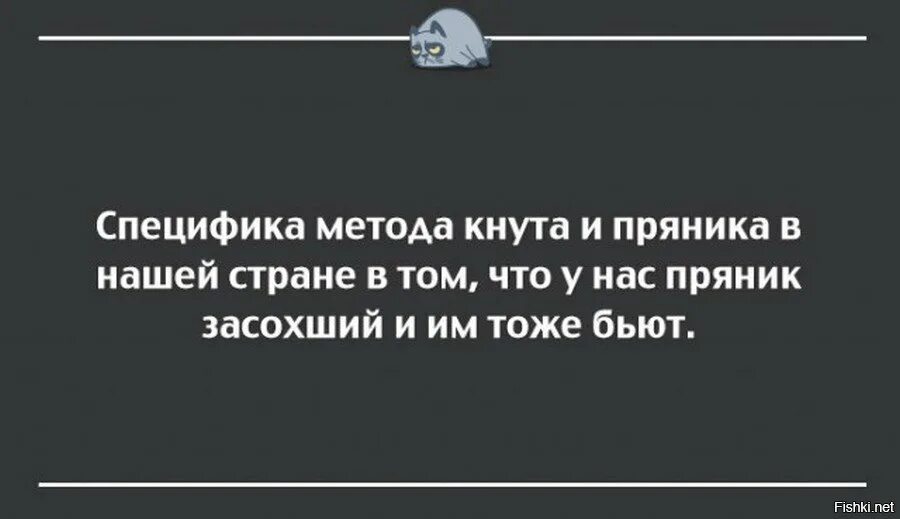 Вокруг психи. Смешные цитаты про психов. Афоризмы про психов. Цитаты про психов. Смешные фразы про психов.