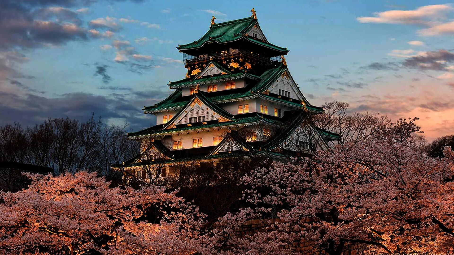Замок Осака в Японии. Замок Химэдзи Япония. Замок Осака Сакура. Буддийский храм на горе в Японии.