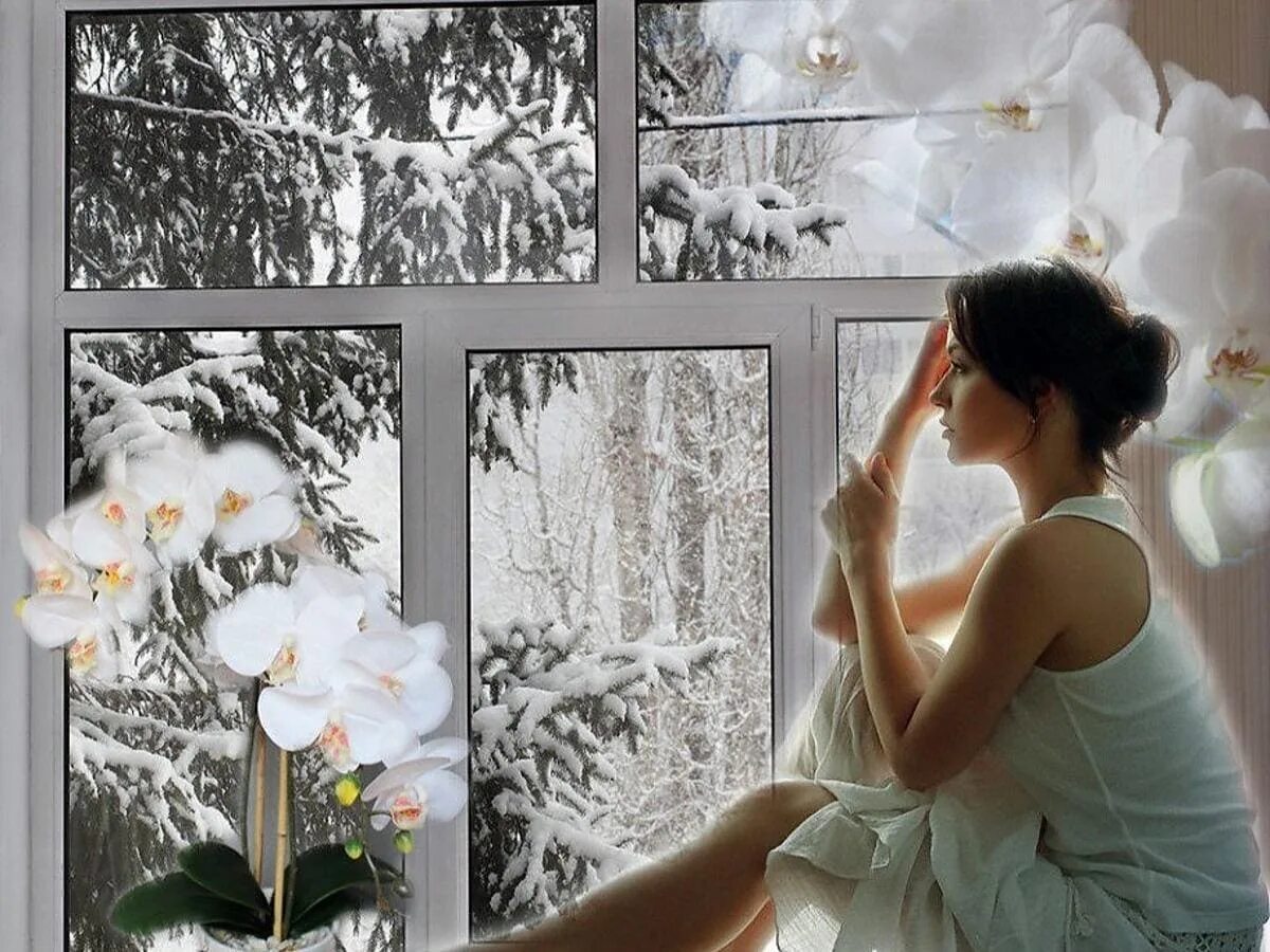 Женщина у окна зимой. Женщина у зимнего окна. Цветы на окне. Долго ждать снега