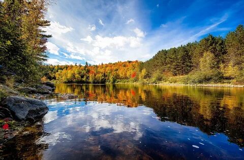 Осенний пейзаж с рекой