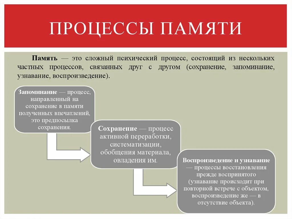 Основные понятия памяти. Процессы памяти. Типы и виды памяти. Процессы памяти запоминание. Закономерности процессов памяти.