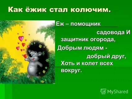 Став еж 2