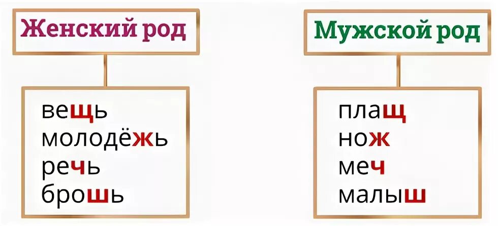 Существительные мужского и женского рода с шипящими на конце. Мягкий знак на конце существительных женского рода. Существительных женского и мужского рода с шипящими на конце.. Существительное мужского рода с шипящей на конце.