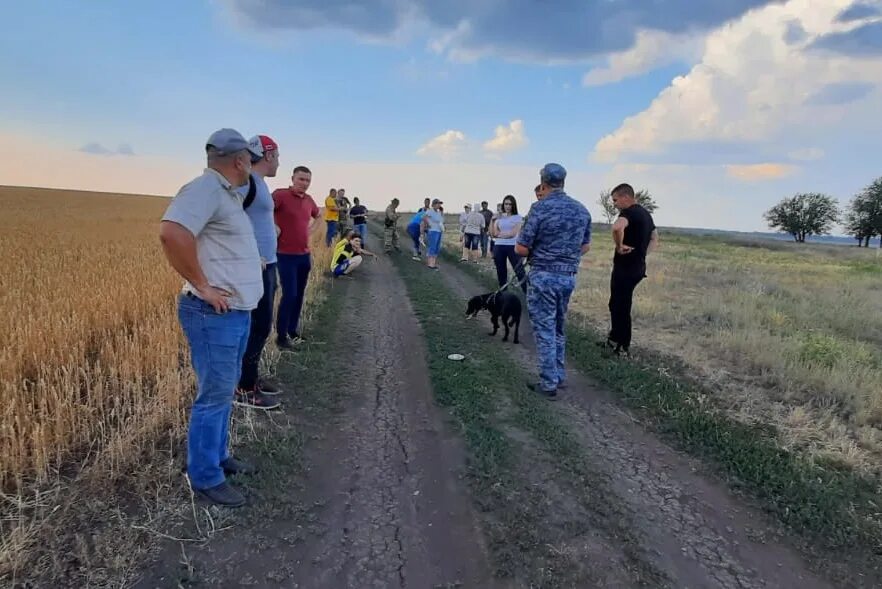 Ищут бузулук. Болотин в Бузулуке. Волонтеры Бузулук. Село Новоалександровка под Бузулуком.