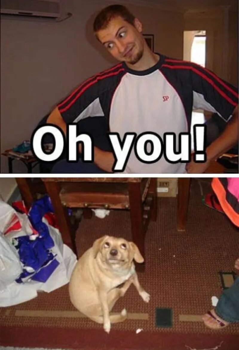 Oh you re so
