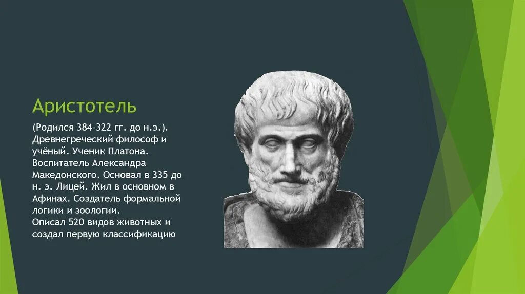 Аристотель биолог. Аристотель ученый достижения. Аристотель открытия в биологии. Вклад ученого Аристотель.