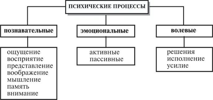 Психические процессы (Познавательные, эмоционально-волевые).. Психические процессы когнитивные эмоциональные волевые. Познавательные психические процессы схема. Познавательные процессы волевые процессы эмоциональные процессы это.