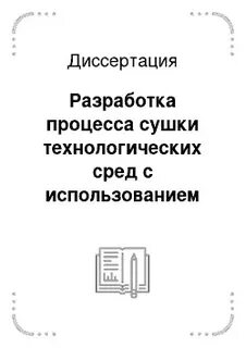 Диссертация разработка