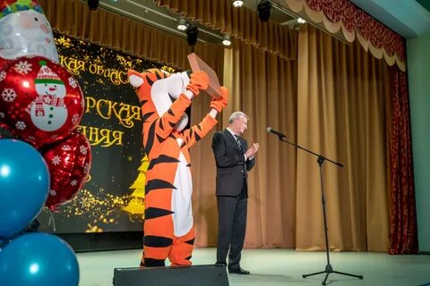 Губернаторская елка мурманск