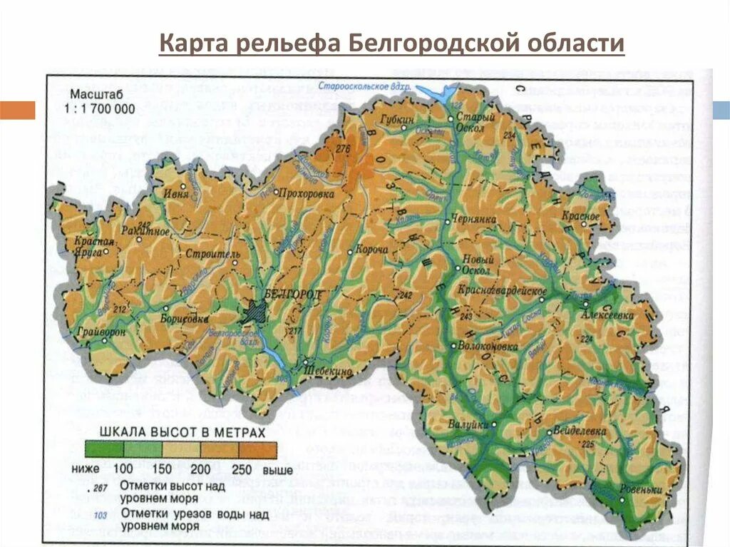 Координаты белгорода. Карта рельефа Белгородской области. Рельефная карта Белгородской области. Белгородская область рельеф местности. Физ карта Белгородской области.