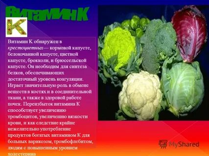 Капуста витамин c
