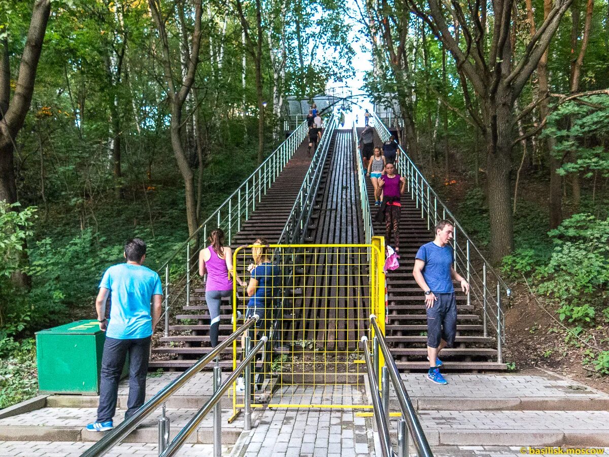 Филевский парк купить. Парк Филевский парк. Детский парк Фили Москва. Филевский парк лестница. Филевский парк фото.