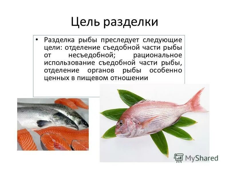 Рыба и морепродукты картинки. Процесс разделки бесчешуйчатой рыбы. Отличительные особенности консервов. Обработка и использование рыбных пищевых отходов. Тепловая кулинарная обработка рыбы.