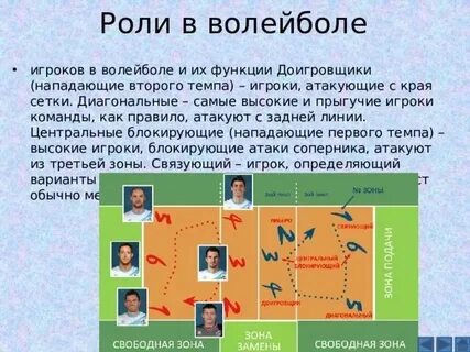 Волейбол позиции игроков и названия