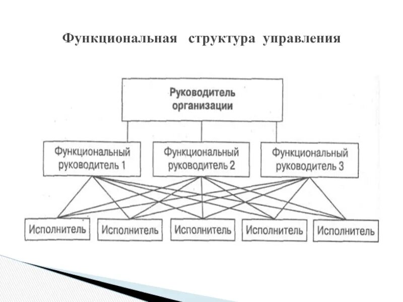 Что относится к функциональной структуре