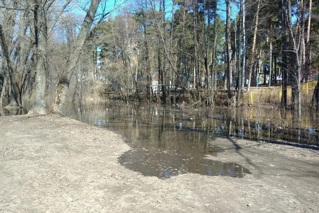 Уровень воды в тамбове сегодня. Плотина Тамбов Пригородный лес. Дамба Тамбов. Платина Тамбов Пригородный лес. Подмыв плотины Тамбов Пригородный лес.