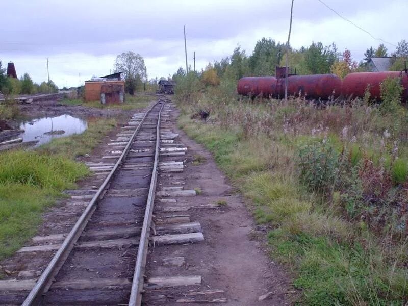 Синдорская узкоколейная железная дорога. УЖД Балахна Шуя. Республика Коми Зеленоборск УЖД. Коми тракт узкоколейная железная дорога.