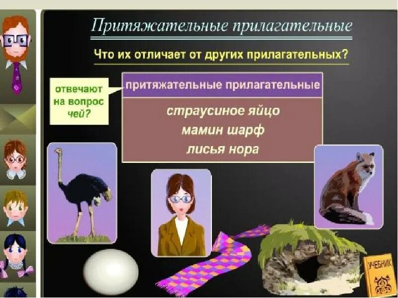 Значение принадлежности в притяжательных прилагательных