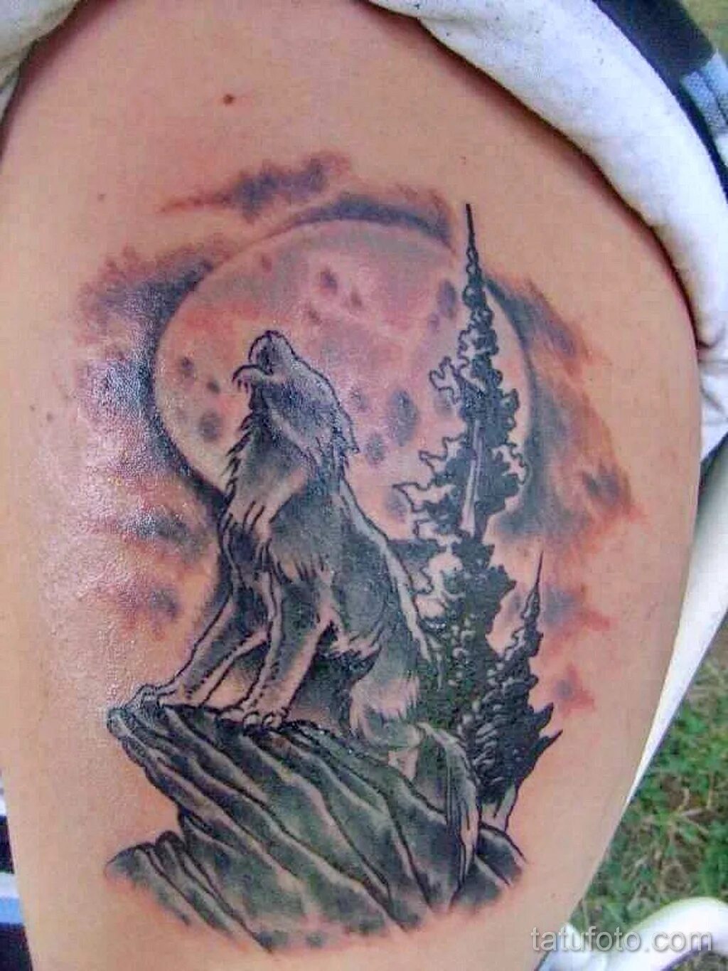 Тату волк воет на луну. Тату вол черный без фона и теней. Татуировка волк воет на луну ожидание реальность. Тату волк луна значение. Луна волна тату.