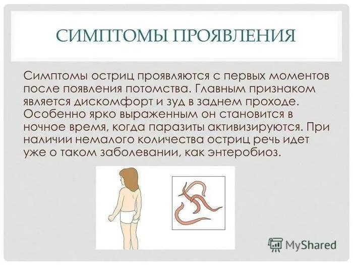 Энтеробиоз лечение препараты. Энтеробиоз синдромы. острицы у детей симптомы. острицы у взрослых симптомы.