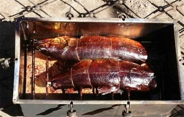 Копчение рыбы в коптильне горячего копчения. Курица горячего копчения в коптильне. Окорочка горячего копчения в коптильне. Коптим в коптильне горячего копчения рецепты. Копчёная рыба в коптильне горячего копчения.