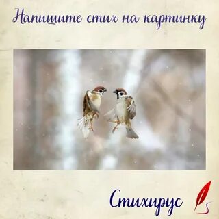 Стихирус