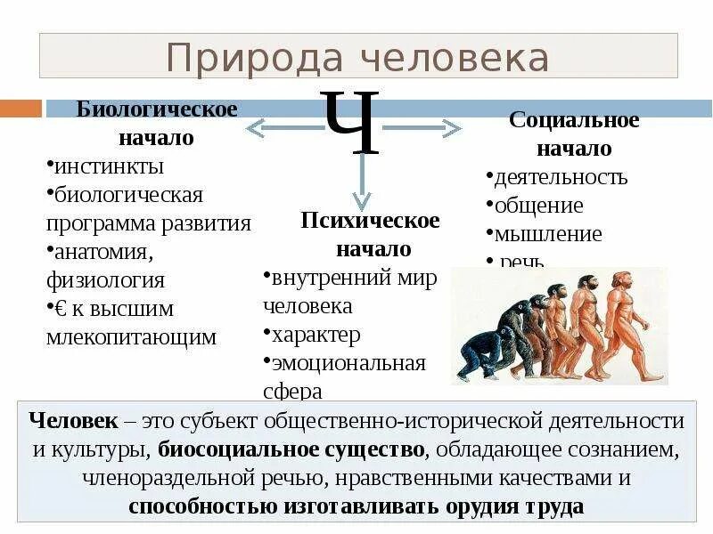 Психологическое в человеке Обществознание. Биологическая и социальная природа человека. Биологические программы человека. Психологический портрет Обществознание. Человек это биологическое и социальное существо