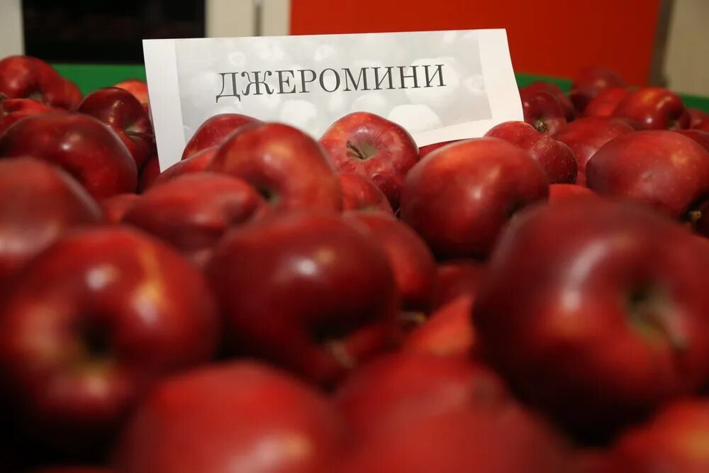 Сад гигант. Сад гигант