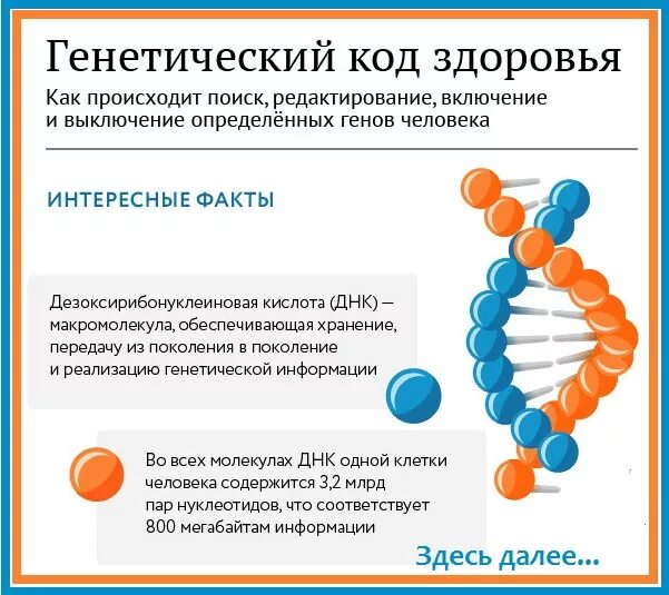 Код здорового человека