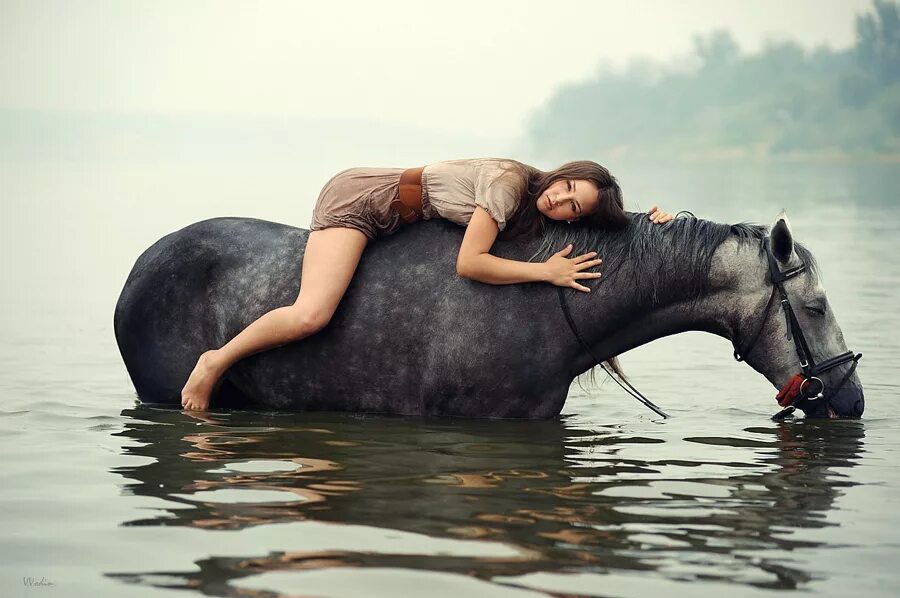Фотосессия с лошадьми. Фотосессия с лошадью в воде. Девушка на лошади в воде. Купание на лошади фотосессия. Купание лошадей