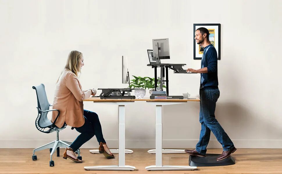 Sit-Stand Desk. Desk Обратная связь модель. Lift Desk. Standing Desk.