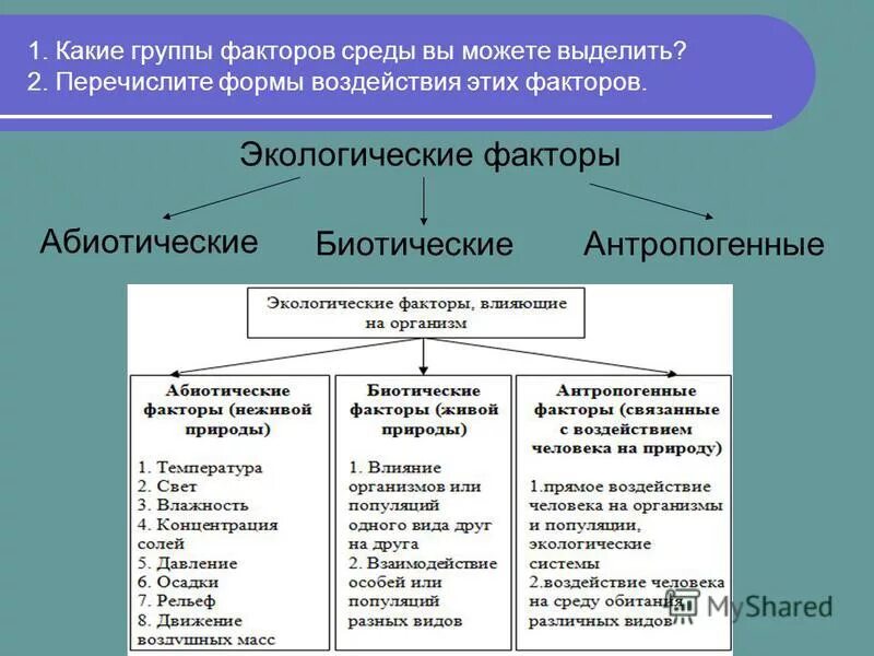 Примеры факторов связанные с человеком. Факторы окружающей среды химические физические биологические. Органическая среда абиотические факторы. Группы экологических факторов схема. Абиотические и биотические экологические факторы.