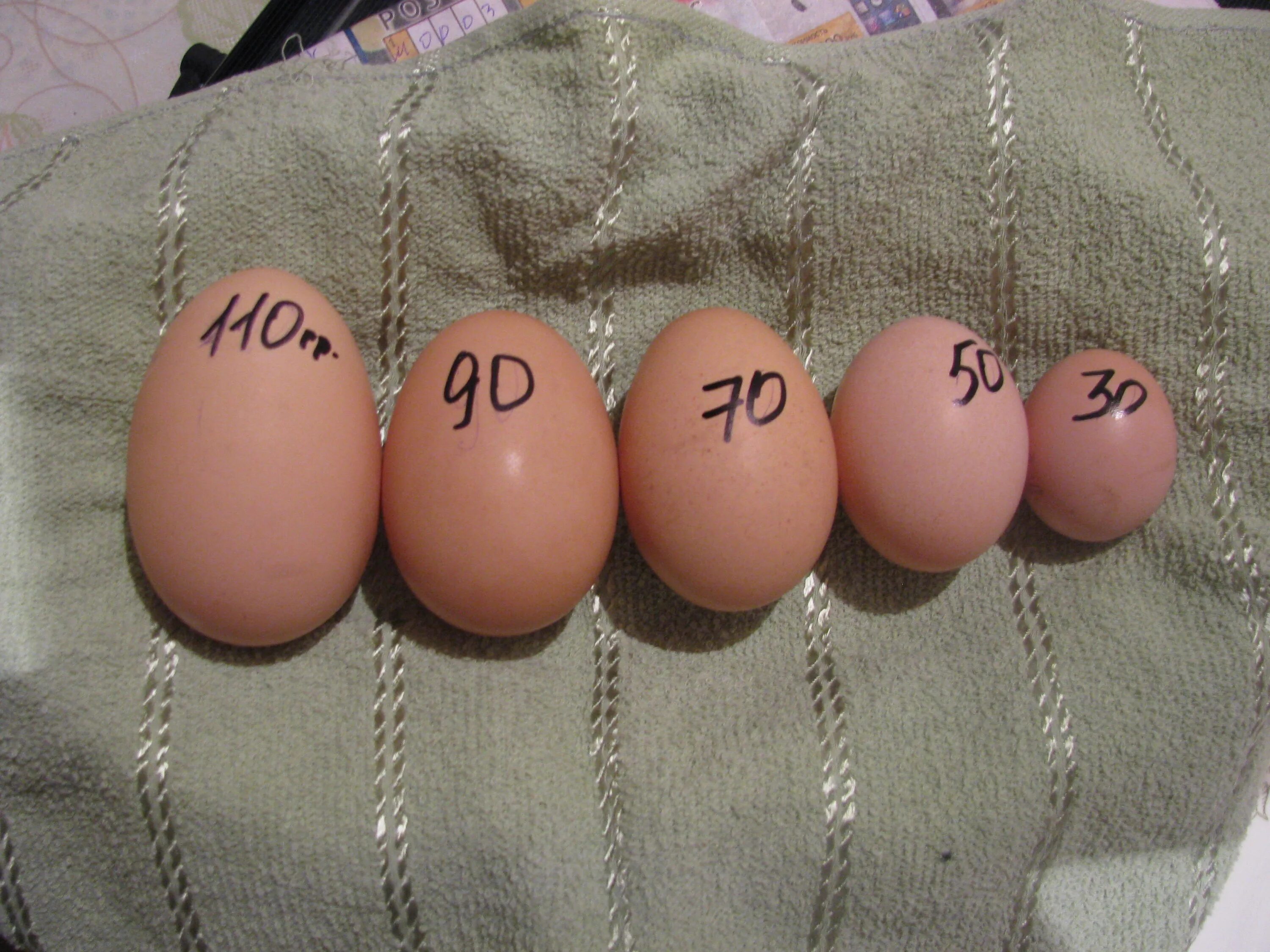 Сколько стоит мужское яйцо цена. Фиолетовые яйца мужские. Мужские яйца рисунок. Разноцветные яйца у мужика. Раскрашенные мужские яйца.