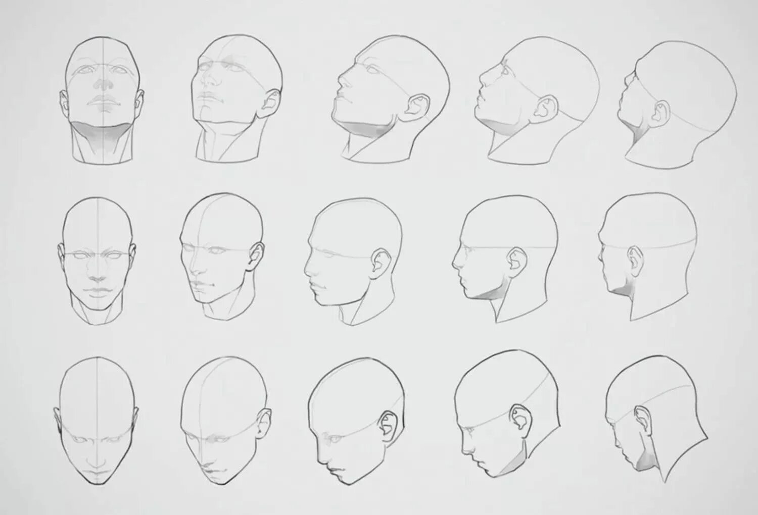 Head forms. Голова сбоку референс. Голова в бок референс. Голова снизу референс. Голова вид сбоку референс.