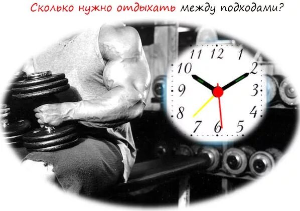 Сколько человек должен отдыхать. Отдыхает между подходами. сколько нужно отдыхать. перерыв между подходами в тренажерном зале. сколько нужно отдыхать между подходами.
